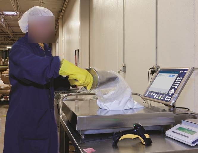 An operator weighing into a bag at a terminal with a barcode scanner